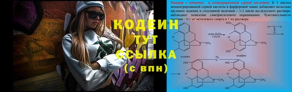 гашик Аркадак
