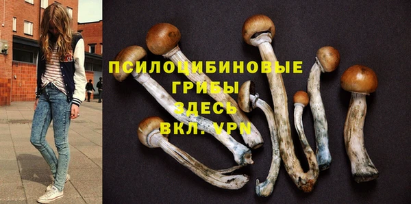 гашик Аркадак