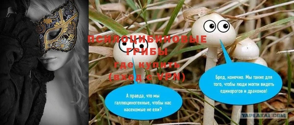 гашик Аркадак