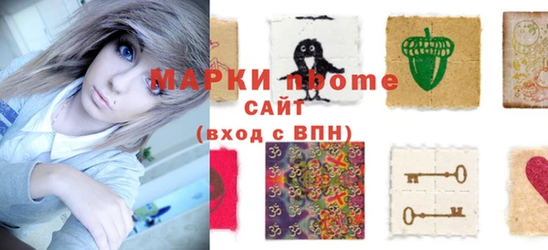 шишки Покачи