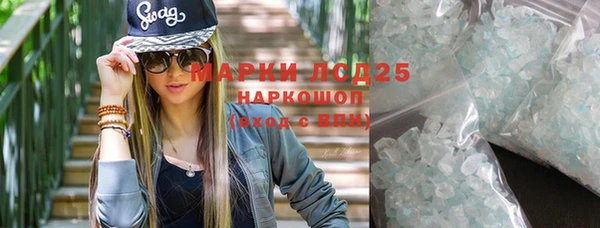 гашик Аркадак