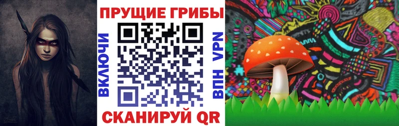 Галлюциногенные грибы прущие грибы  купить наркотик  Мирный 